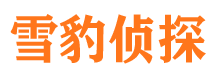 城关市侦探调查公司